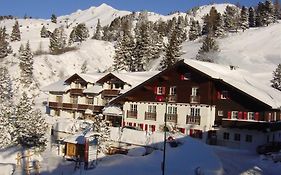 Hotel Koch